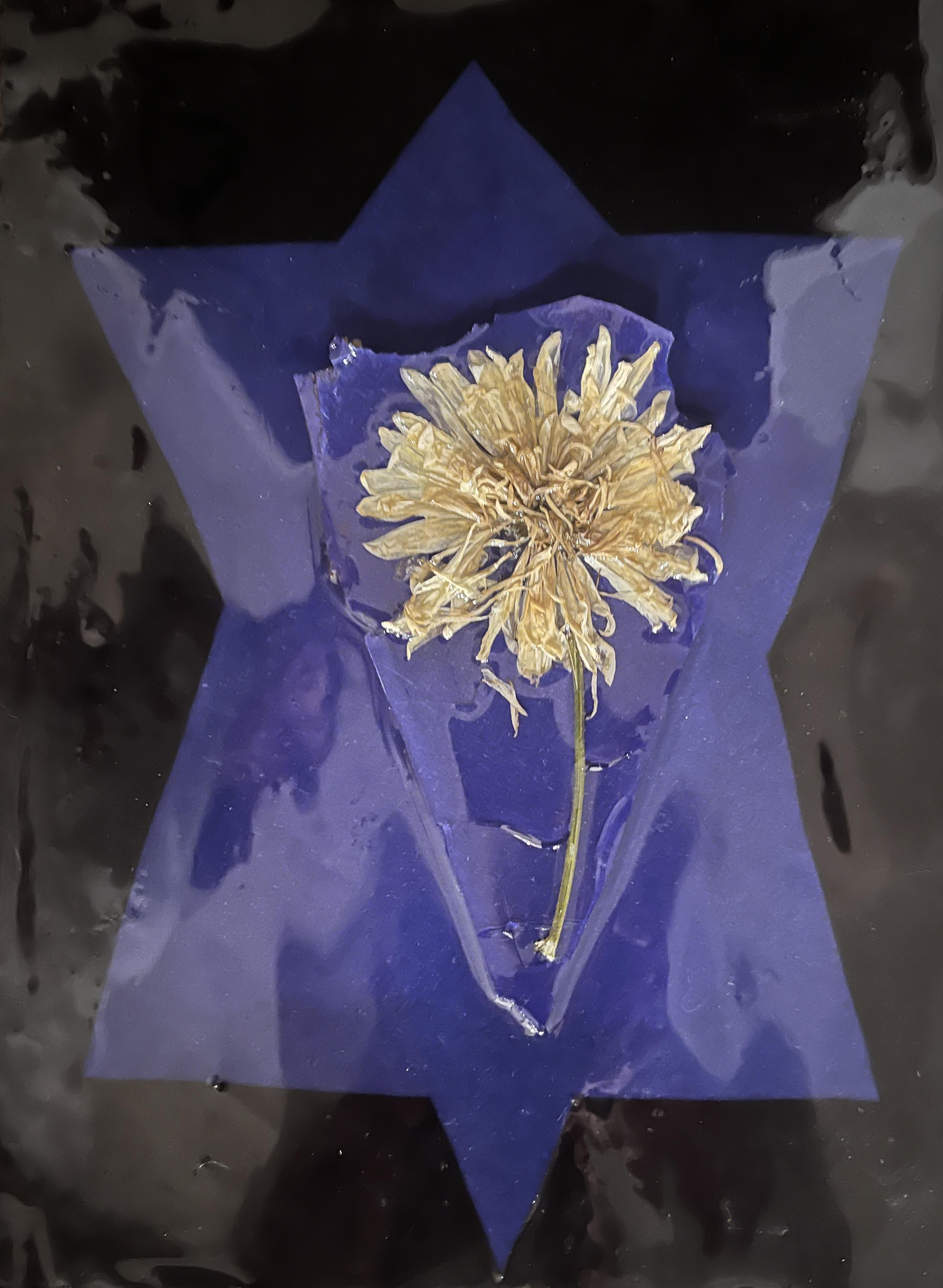 Yishai Kneipler-Pearl