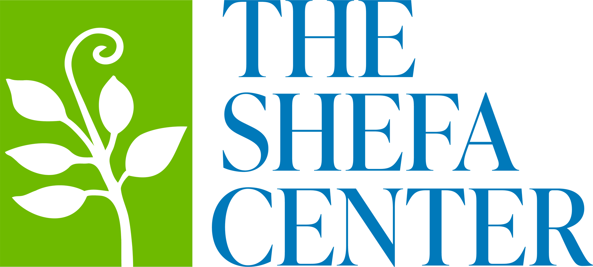The Shefa Center